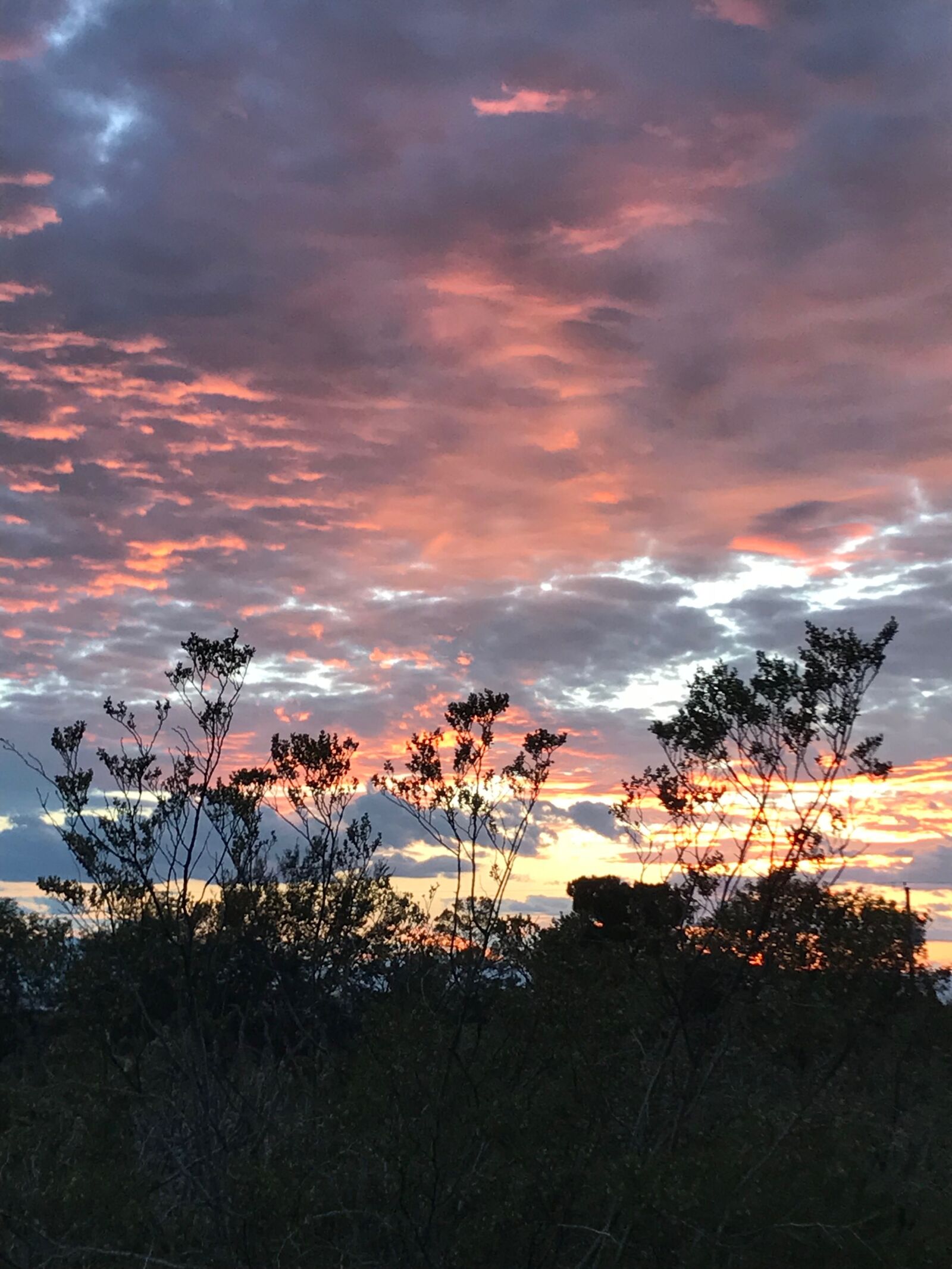 Apple iPhone 7 sample photo. Sunset, dessert, pink photography