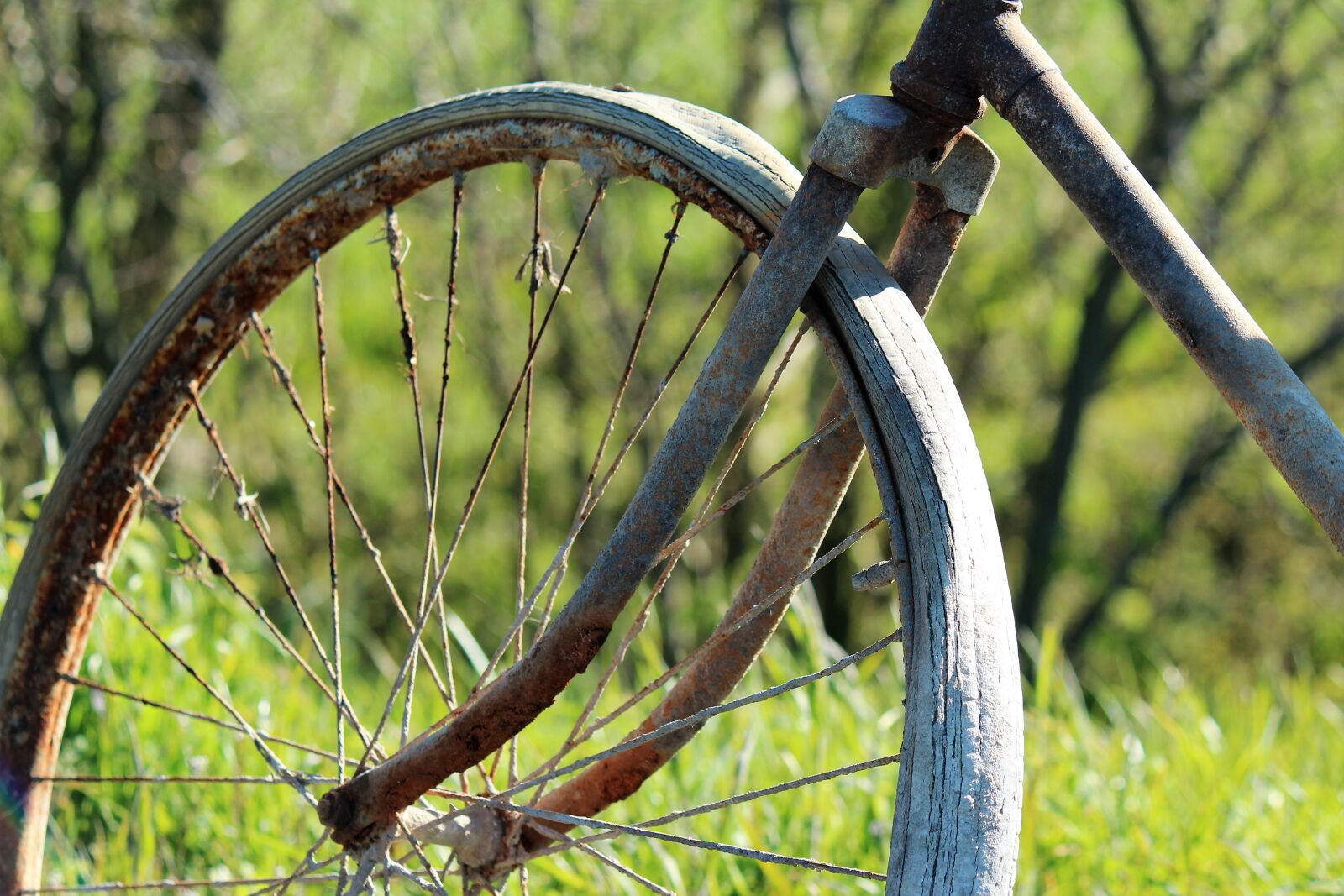 Canon EF-S 55-250mm F4-5.6 IS sample photo. Bicycle, old, rusty photography