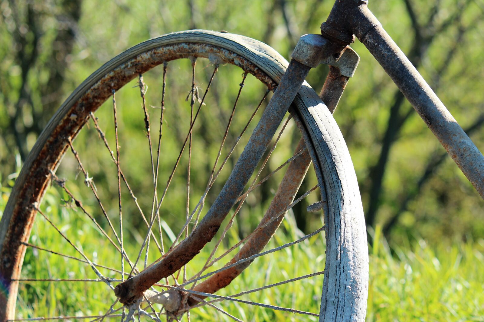 Canon EOS 600D (Rebel EOS T3i / EOS Kiss X5) + Canon EF-S 55-250mm F4-5.6 IS sample photo. Bicycle, old, rusty photography