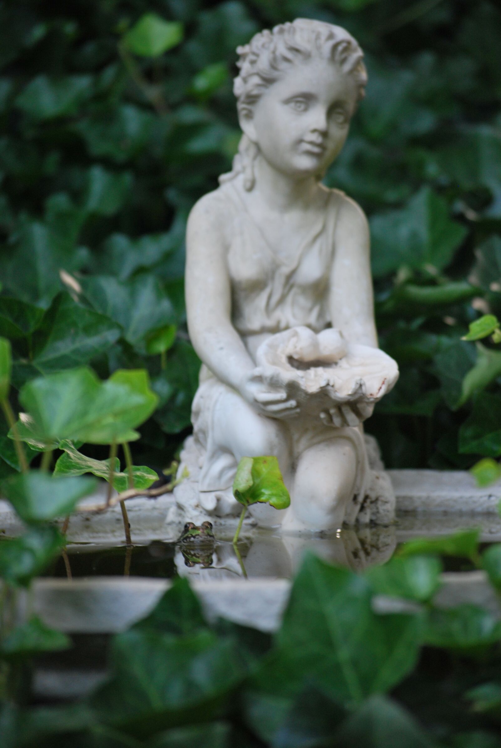 Nikon D60 sample photo. Frog, frog and fountain photography