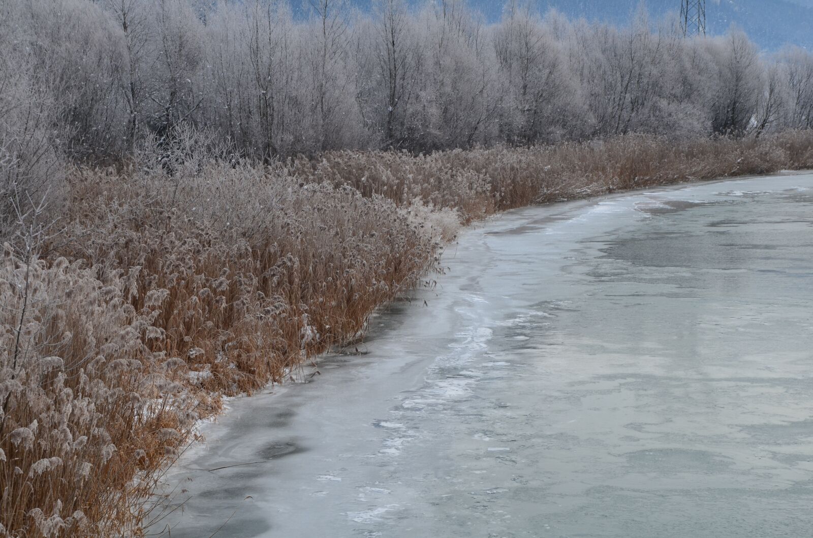 Nikon D5100 sample photo. Snow, frost, ice photography