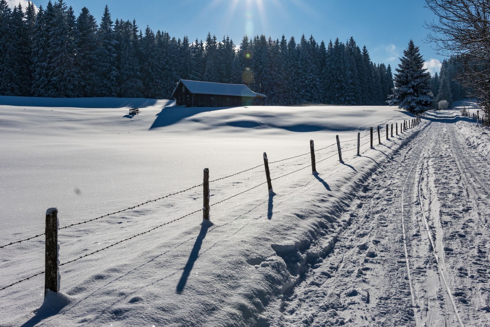 Canon EOS 7D Mark II sample photo. Winter, winter way, snow photography
