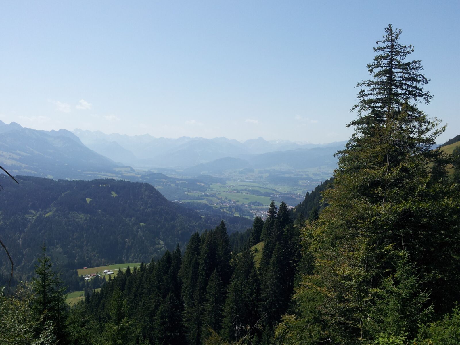 Samsung Galaxy S2 sample photo. Forest, outlook, mountains photography