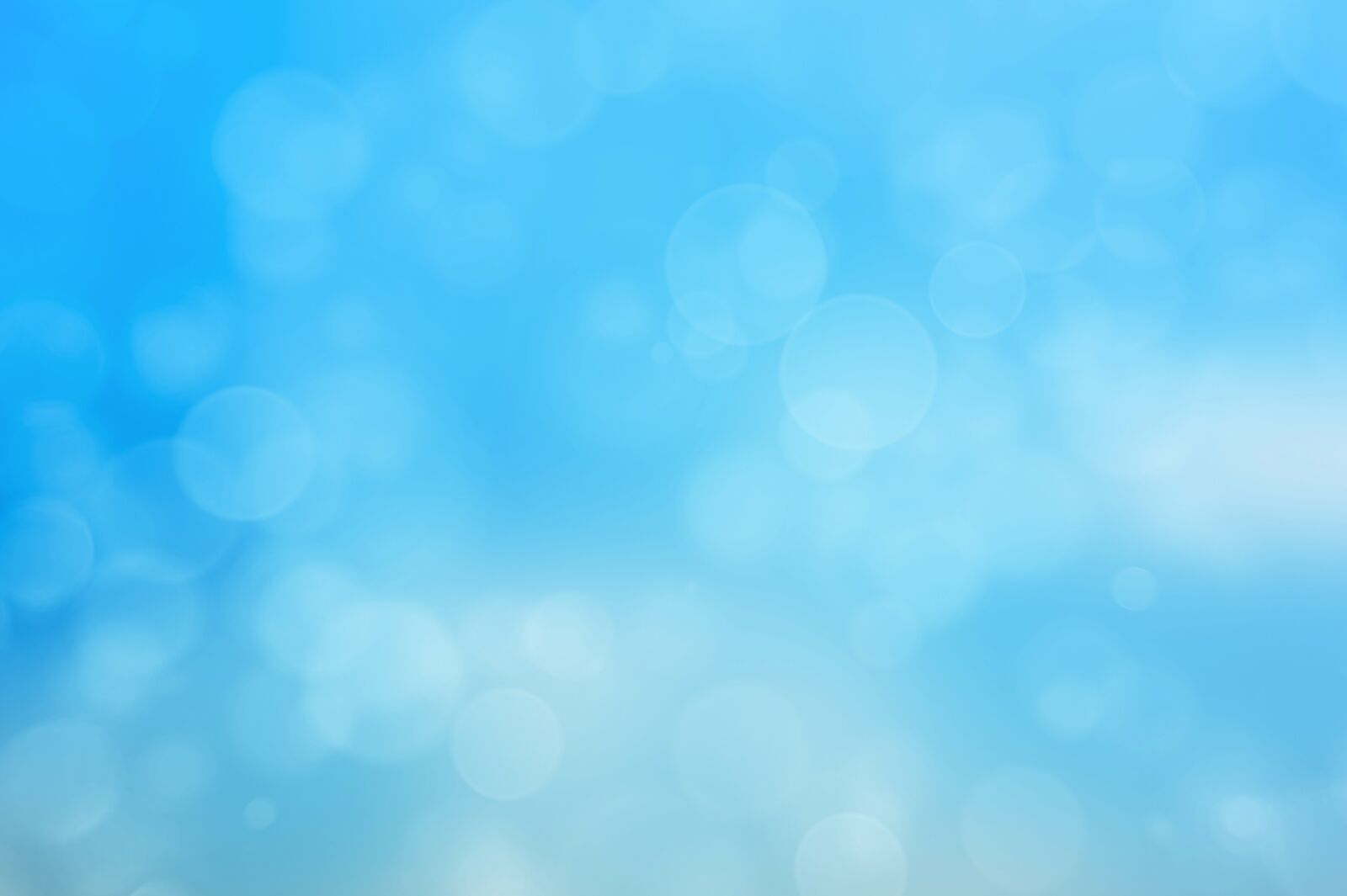 Nikon D700 sample photo. Background, blue, of course photography