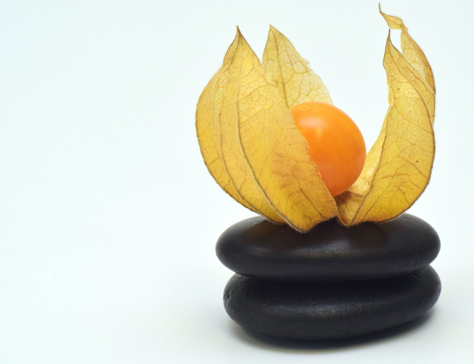 Nikon D3300 sample photo. Physalis, fruit, berry photography