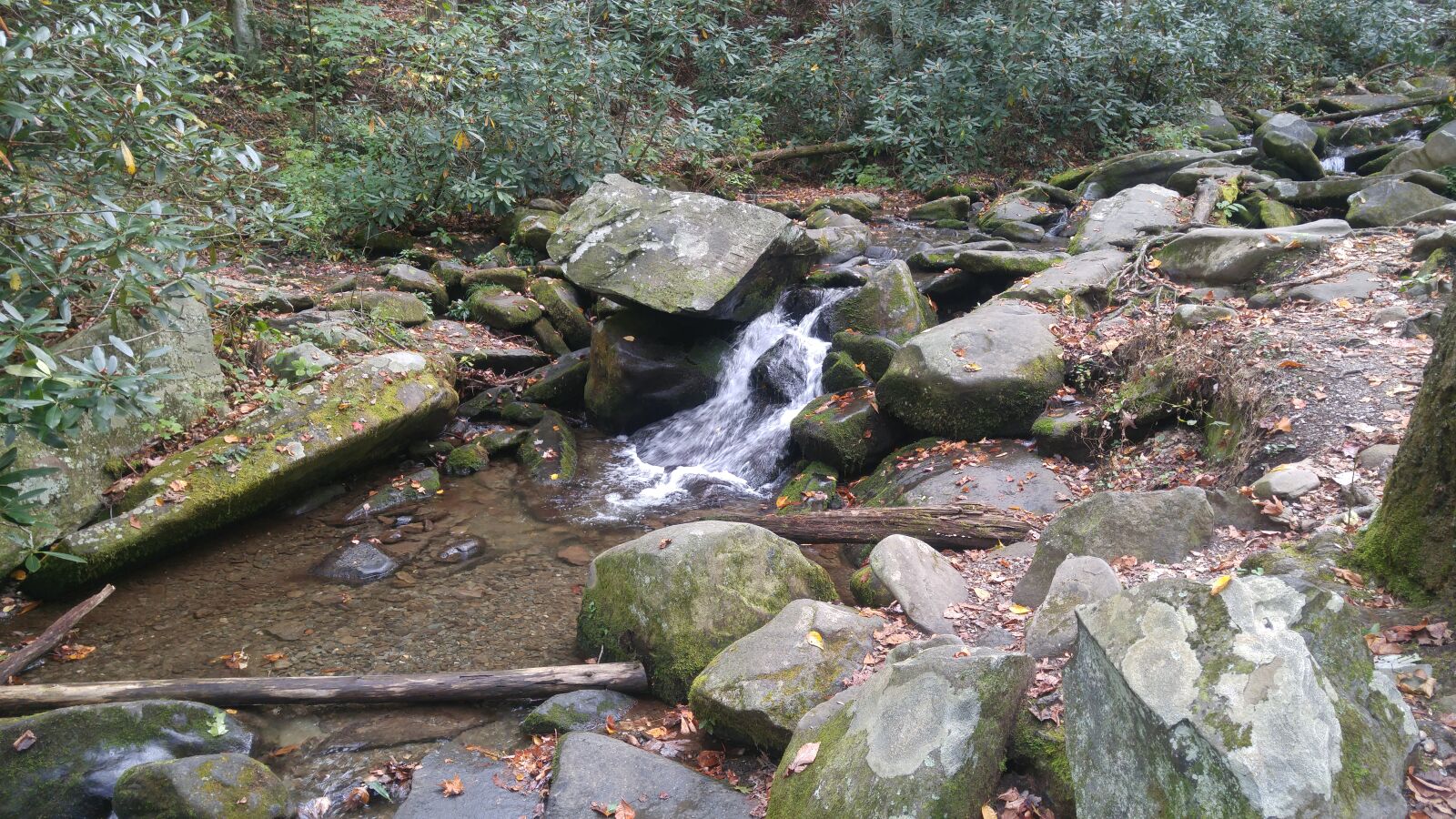 LG G4 sample photo. Mountain, stream, smoky, mountains photography