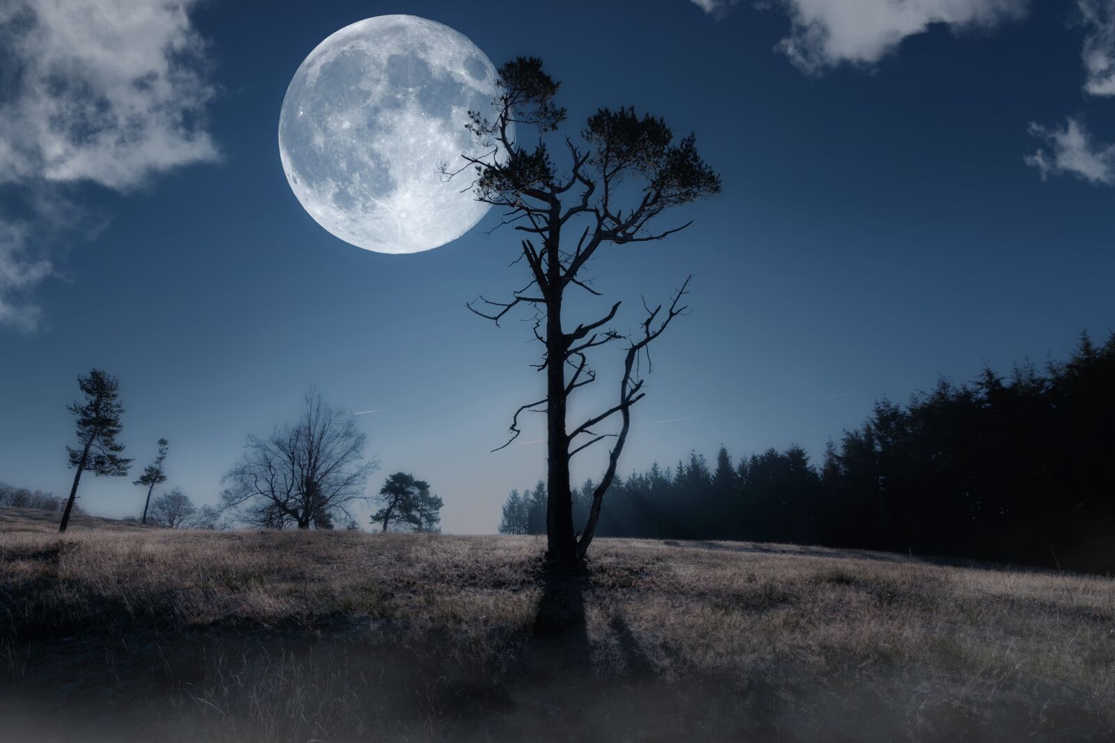 Nikon D5300 sample photo. Moon, night sky, moonlight photography
