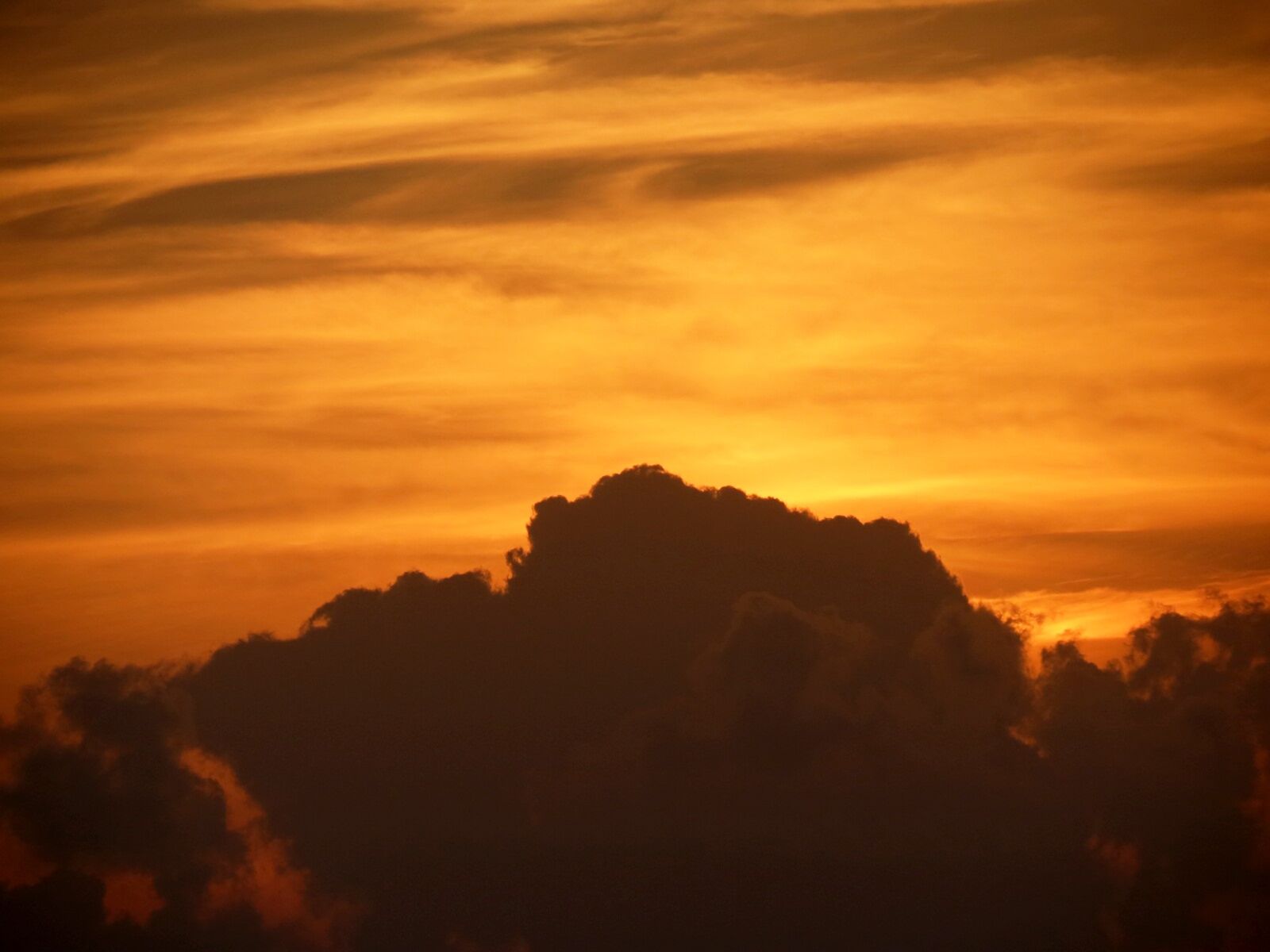 Canon PowerShot SX40 HS sample photo. Nature, sol, eventide photography