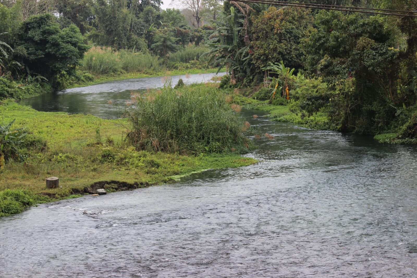 Canon EOS 600D (Rebel EOS T3i / EOS Kiss X5) sample photo. Nature, beauty, green photography