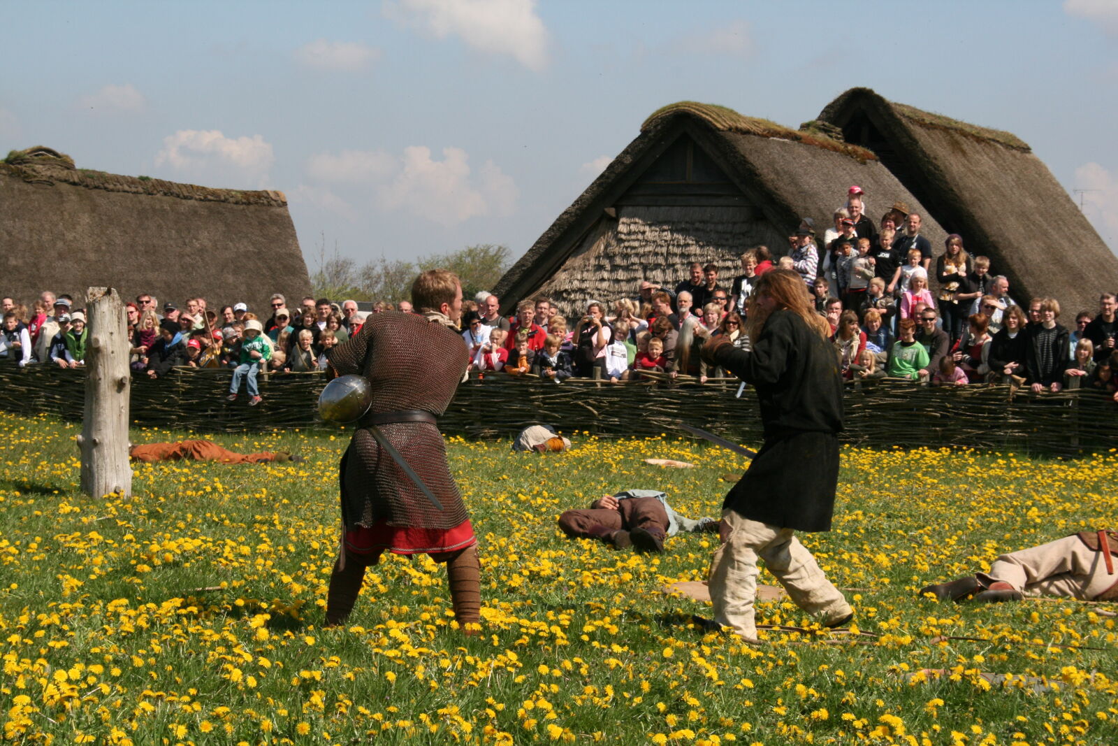 Sigma 18-200mm f/3.5-6.3 DC OS sample photo. Vikings photography