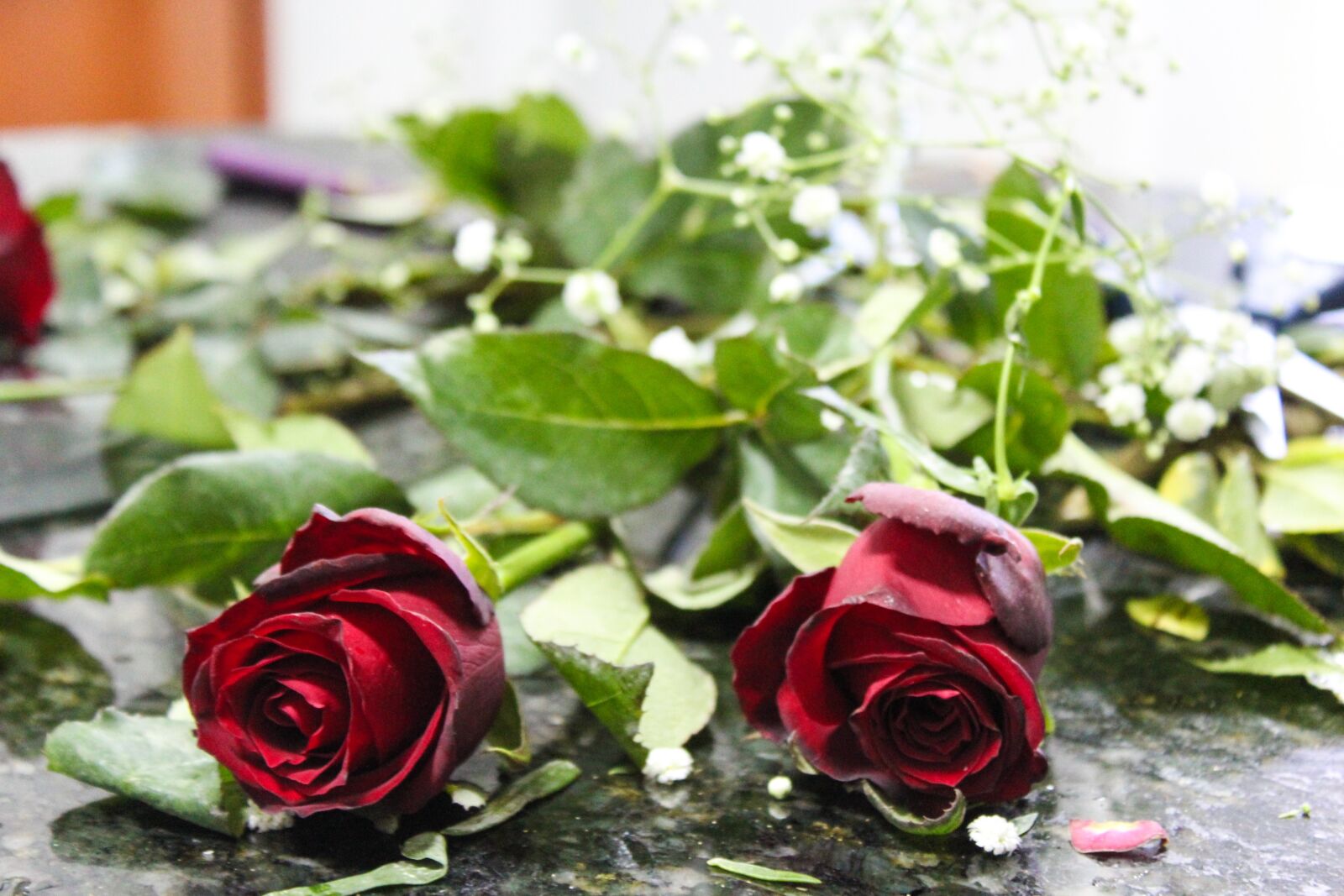 Canon EOS 1200D (EOS Rebel T5 / EOS Kiss X70 / EOS Hi) sample photo. Flowers, roses, red roses photography
