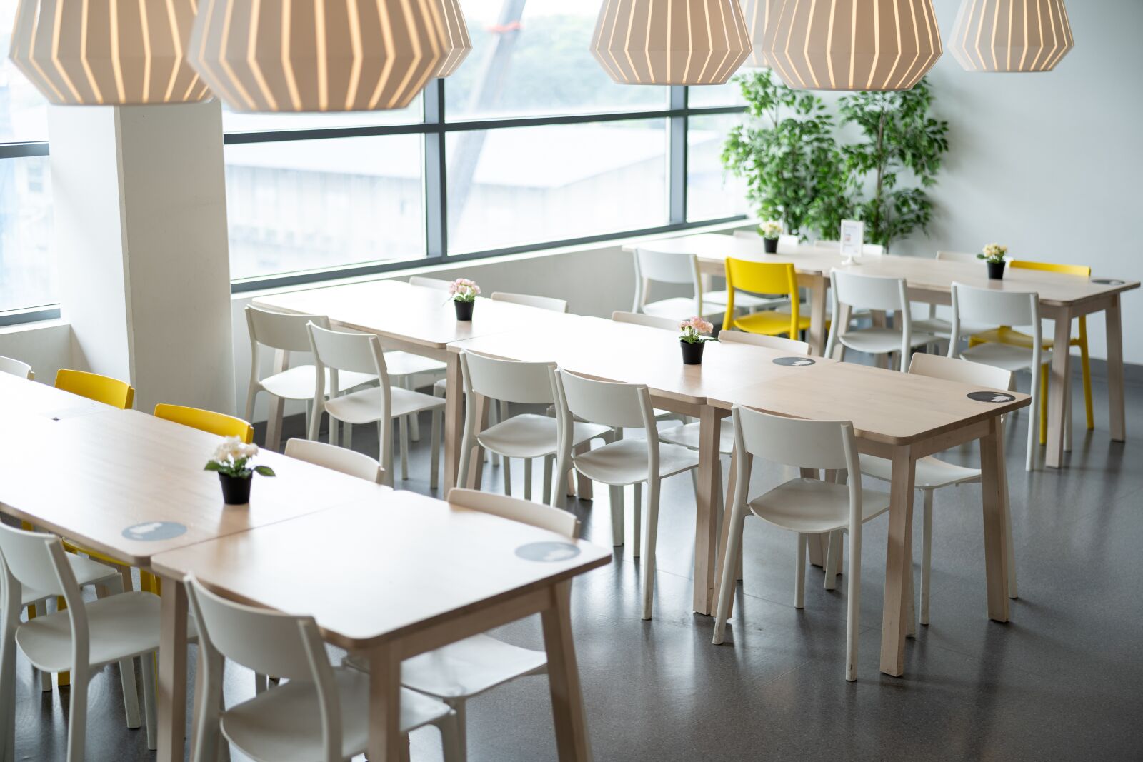 Sony a7 III + Sony Planar T* FE 50mm F1.4 ZA sample photo. Ikea, table, dining photography