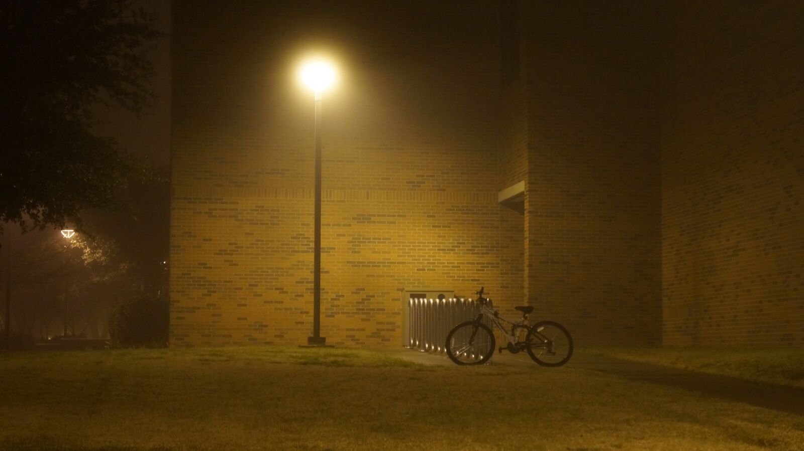 Sony Alpha a3000 + Sony E 18-55mm F3.5-5.6 OSS sample photo. Fog, lamp, sidewalk photography