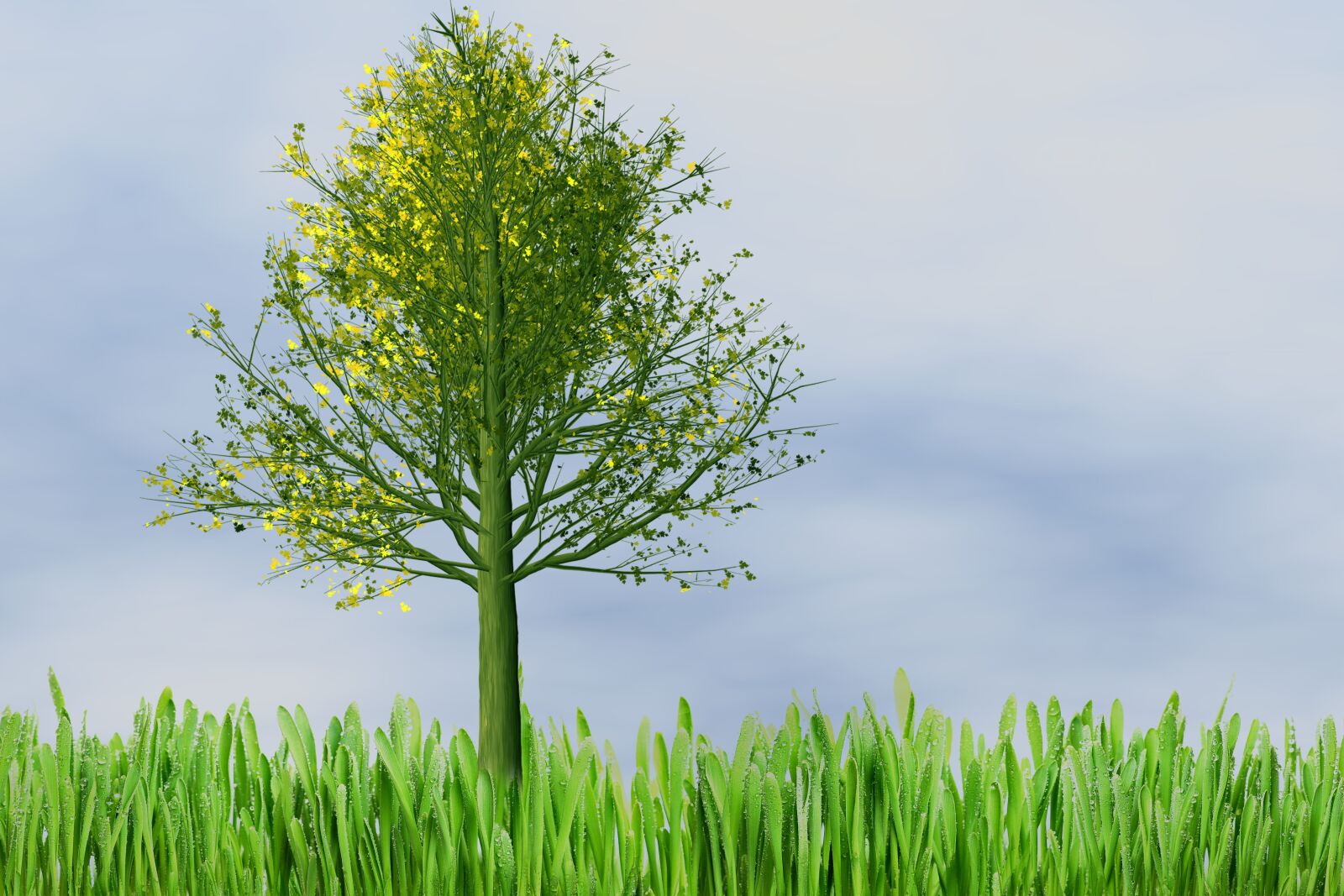 Nikon D60 sample photo. Nature, tree, sunset photography