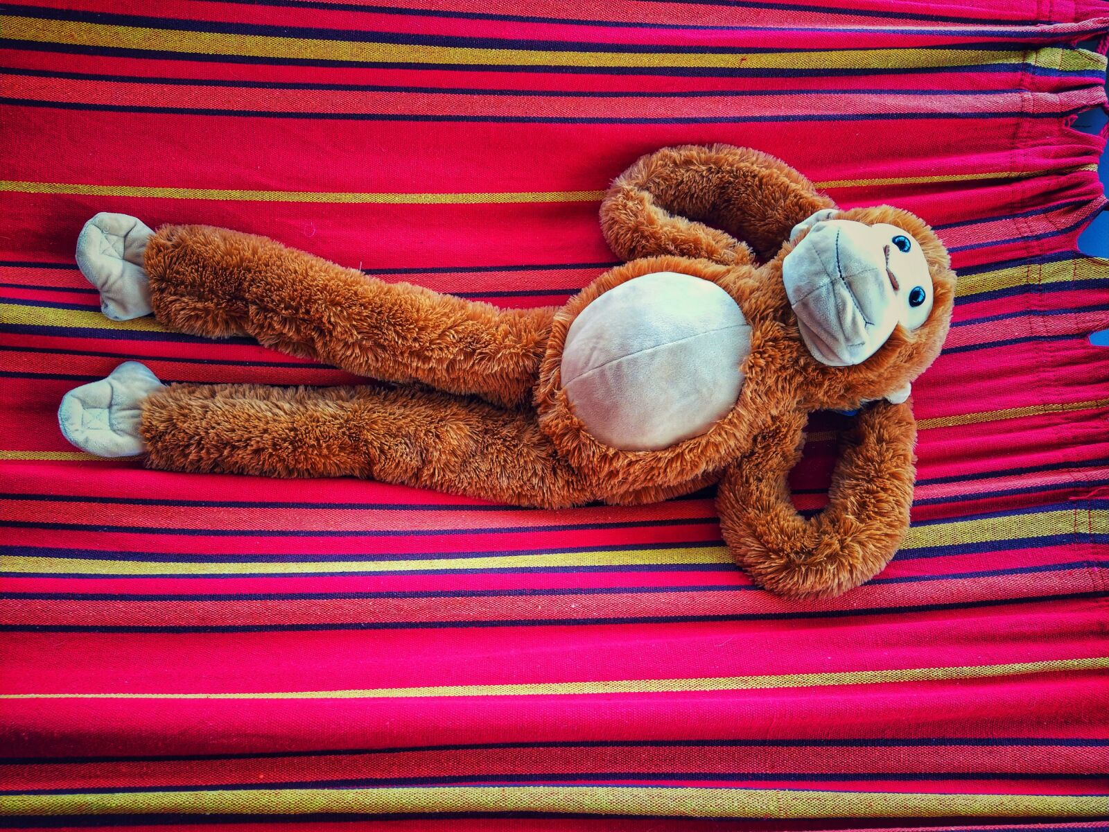Xiaomi Mi A3 sample photo. Relax, hammock, monkey photography