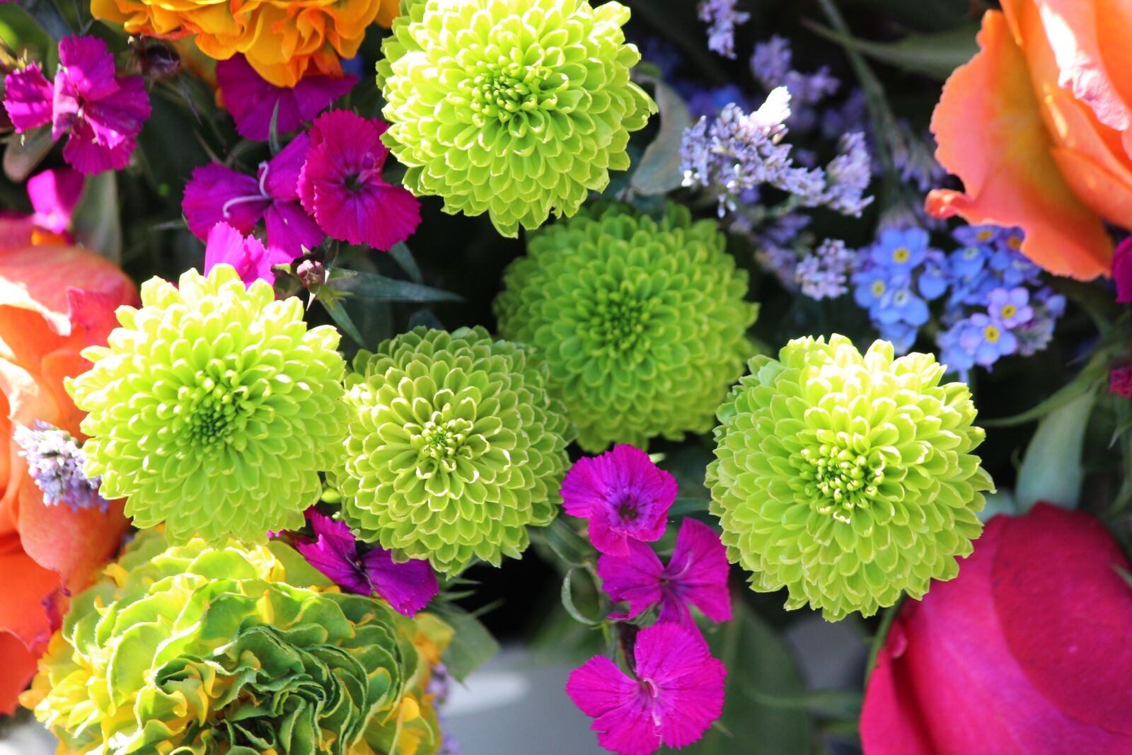 Canon EOS 600D (Rebel EOS T3i / EOS Kiss X5) sample photo. Flowers, yellow, plant photography