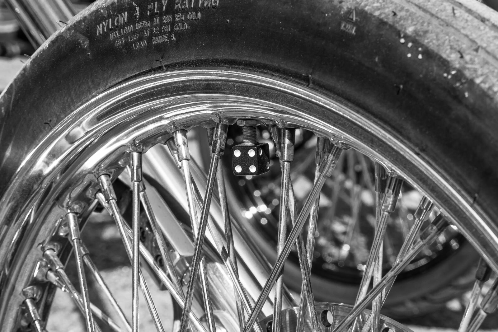 Nikon D3300 sample photo. Rear tire, dice, spoke photography