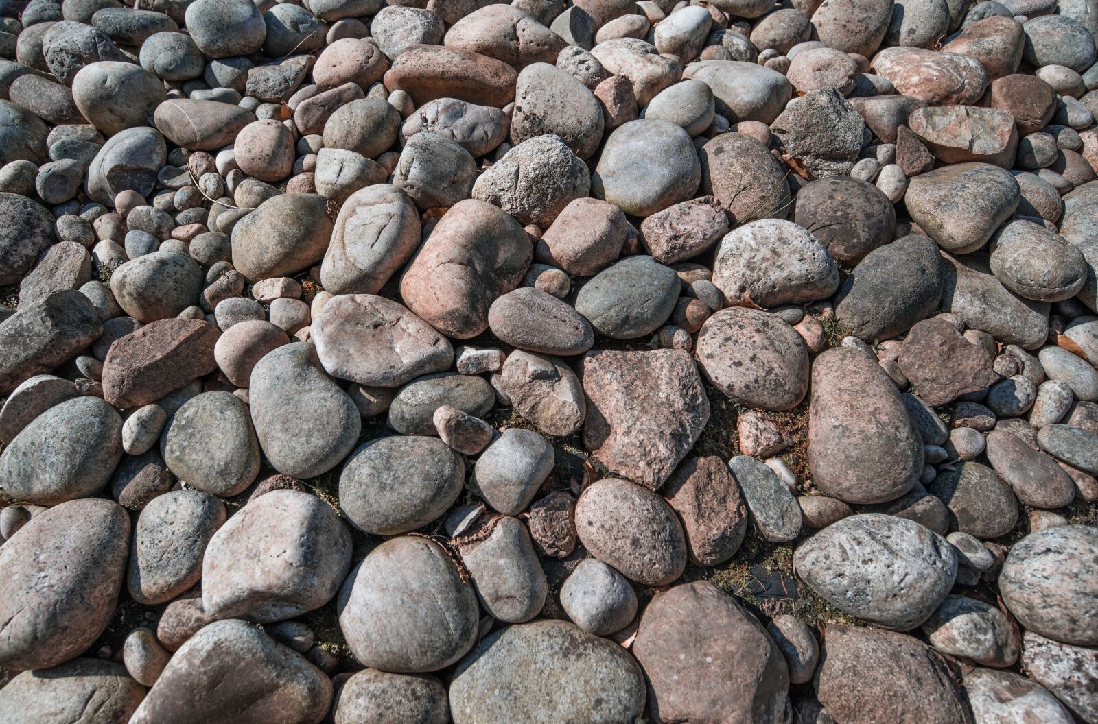 Nikon D610 sample photo. Rocks, pebbles, stone photography