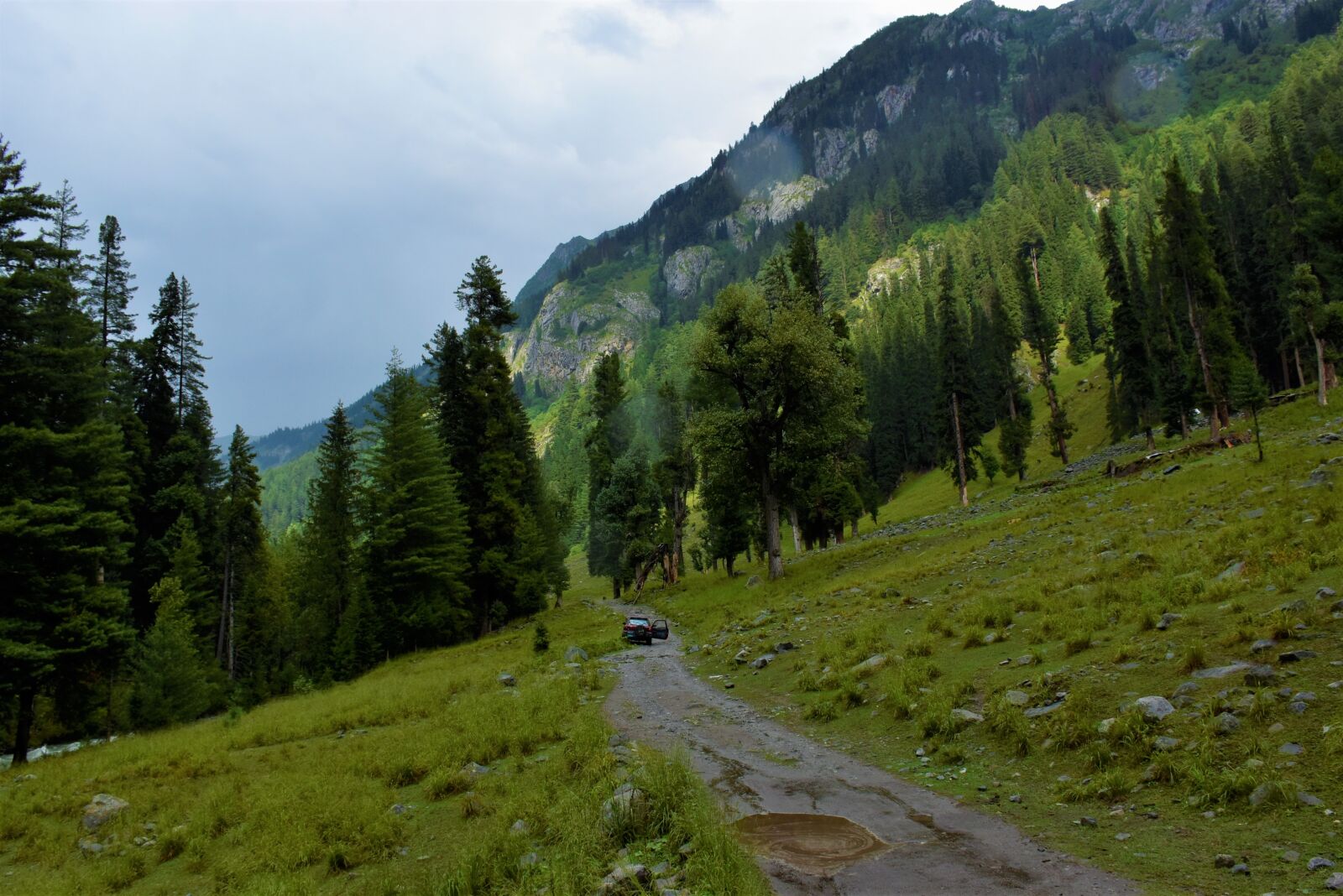 Nikon D5600 sample photo. Kumrat, jihazabanda, pakistan photography