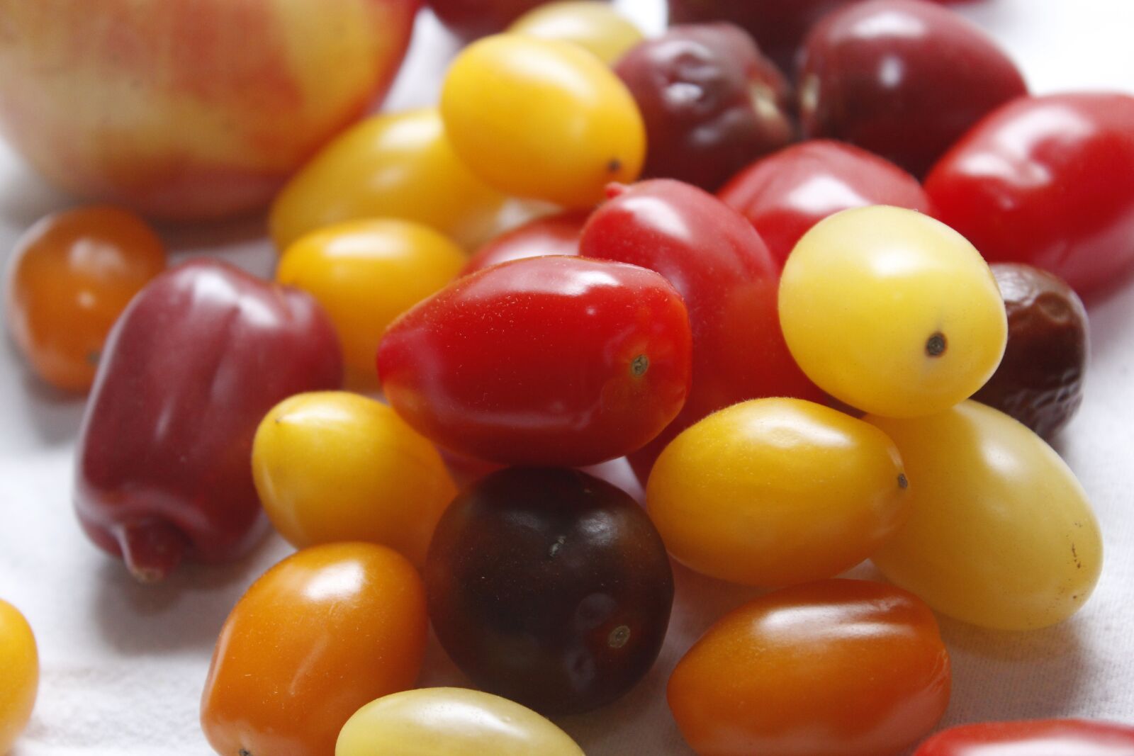 Canon EOS 1200D (EOS Rebel T5 / EOS Kiss X70 / EOS Hi) sample photo. Tomatoes, vegetables, healthy photography