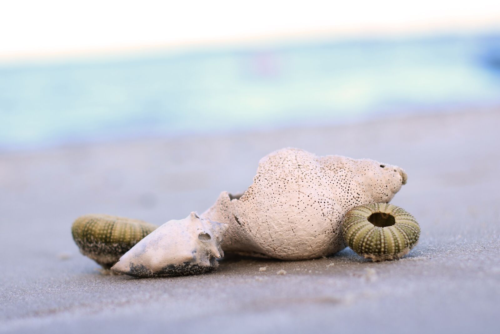 Canon EOS 750D (EOS Rebel T6i / EOS Kiss X8i) sample photo. Mar, costa, beach photography