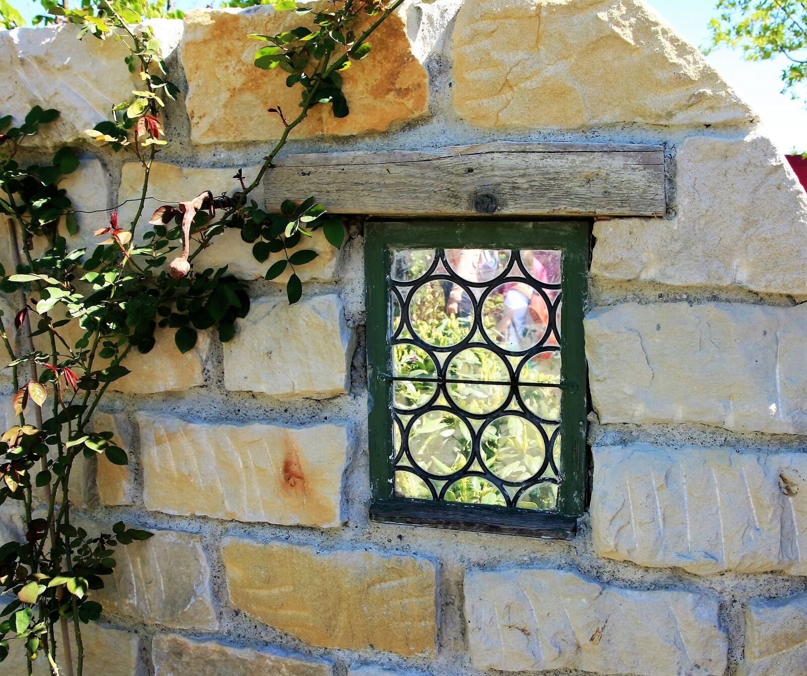 Canon EOS 40D sample photo. Garden, flowers, window photography