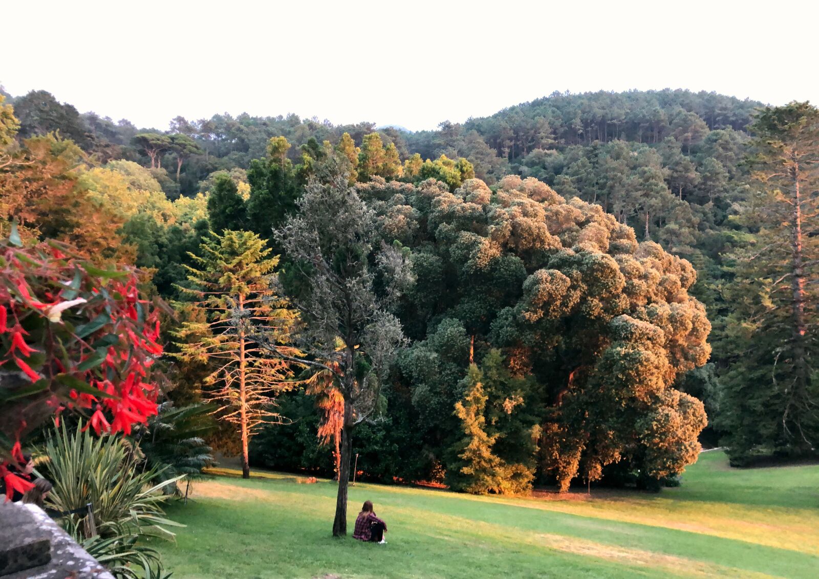 iPhone X back dual camera 4mm f/1.8 sample photo. Sintra, portugal, sunset photography