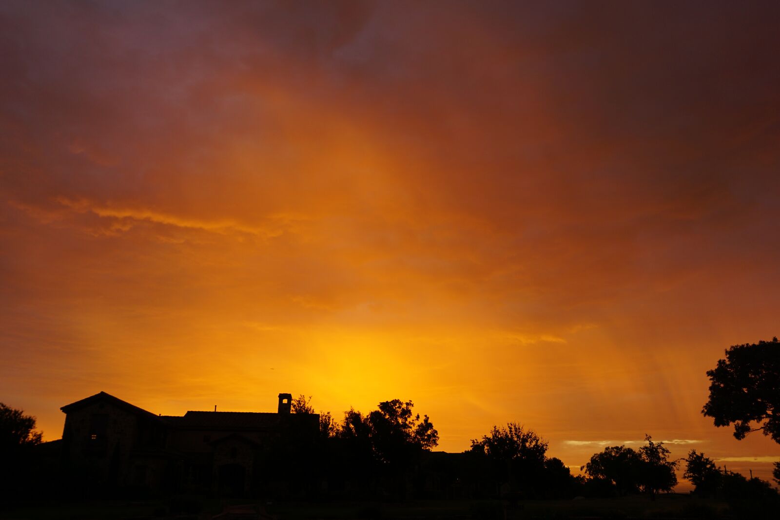 Sony a6000 sample photo. Trees, sky, nature photography