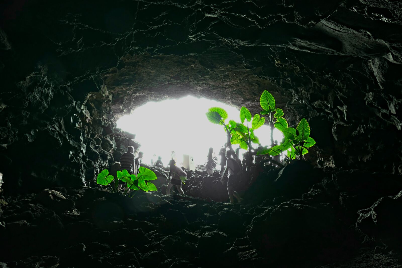 Panasonic Lumix DMC-FZ1000 sample photo. Cave, lanzarote, dark photography