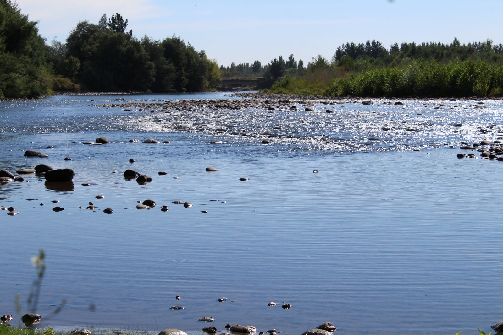 Canon EOS 1200D (EOS Rebel T5 / EOS Kiss X70 / EOS Hi) sample photo. River, field, nature photography