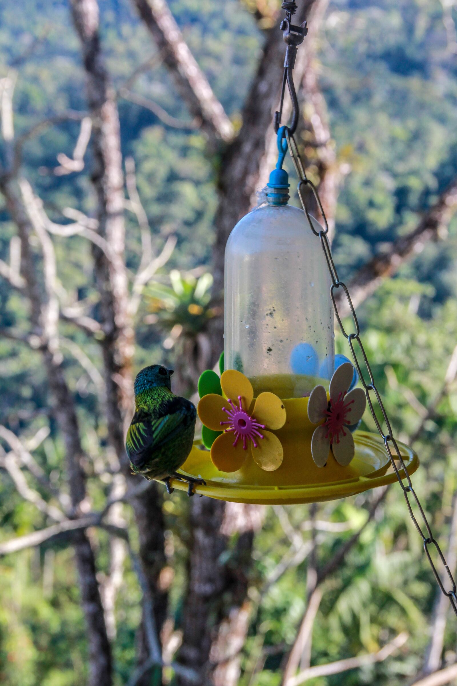 Canon EF-S 18-135mm F3.5-5.6 IS sample photo. Paige, itatiaia, riodejaneiro photography