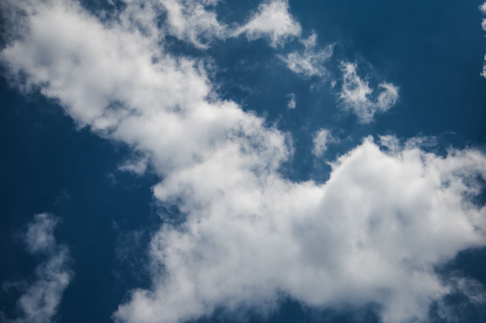 Nikon D90 sample photo. Nature, weather, outdoor photography
