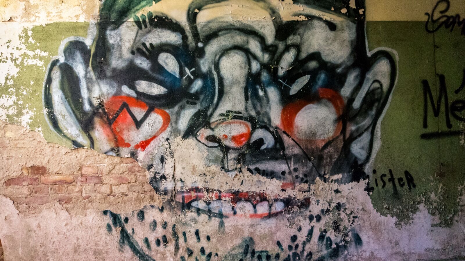 Sony Alpha a5000 (ILCE 5000) sample photo. Graffiti, wall, painted wall photography
