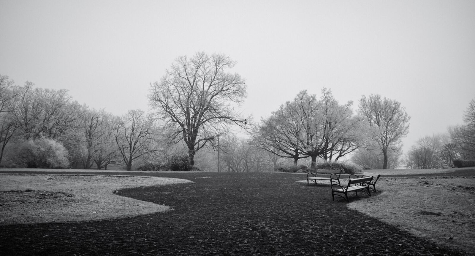 Nikon D3200 sample photo. Park, winter, cold photography