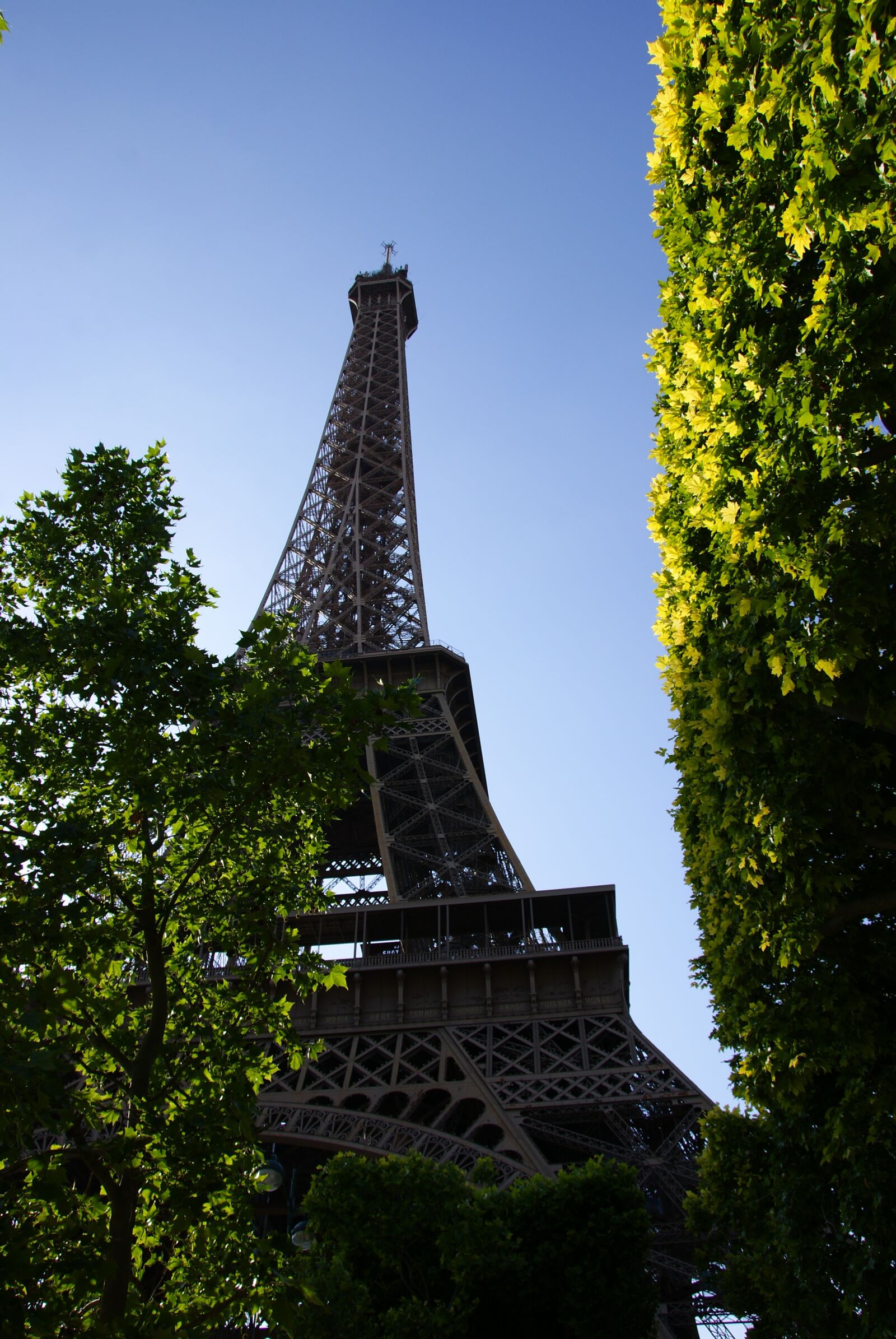 Sony Alpha DSLR-A230 sample photo. Eiffel, tower, perspective photography