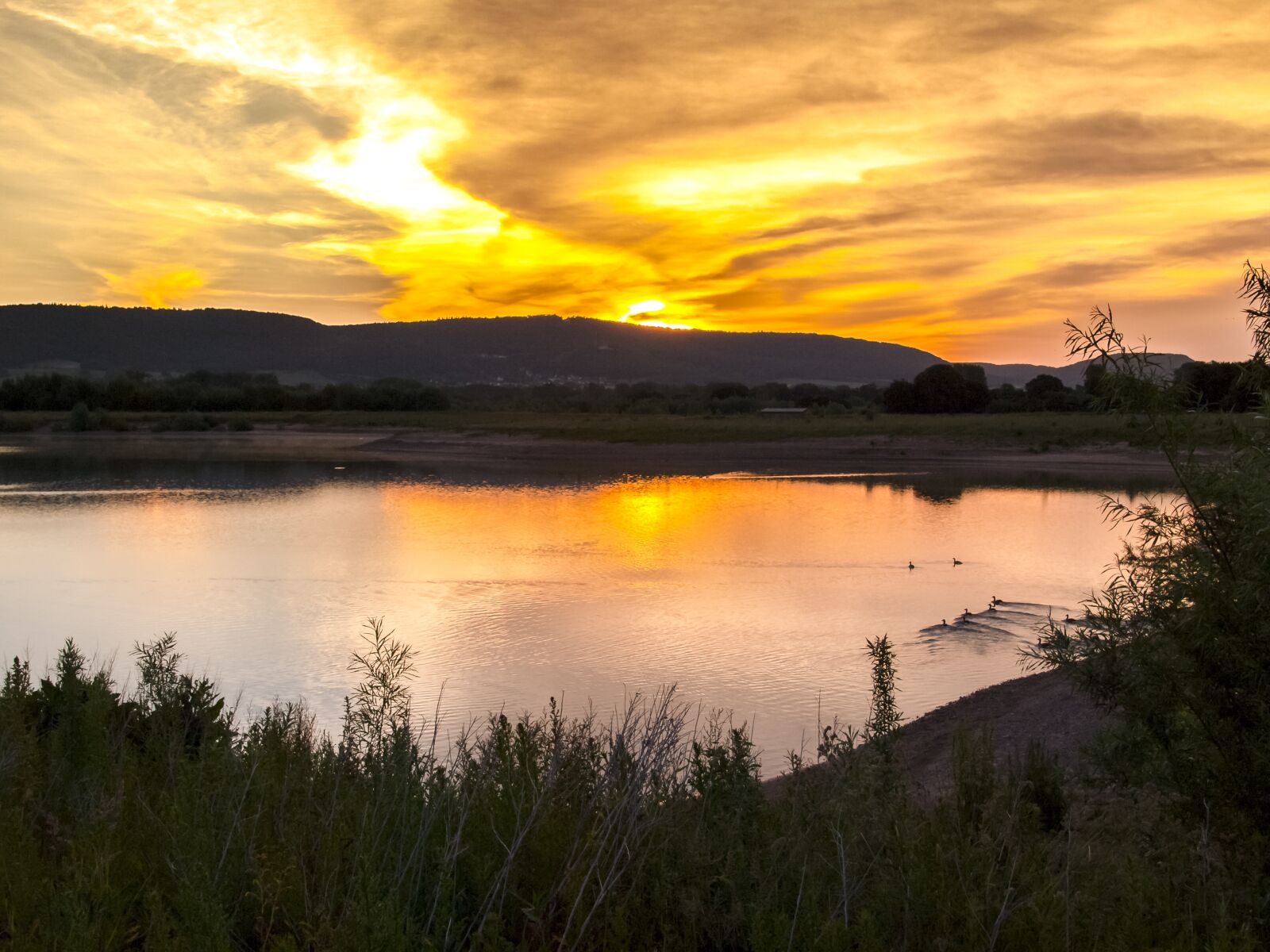 Olympus E-520 (EVOLT E-520) + OLYMPUS 11-22mm Lens sample photo. Landscape, pond, twilight photography