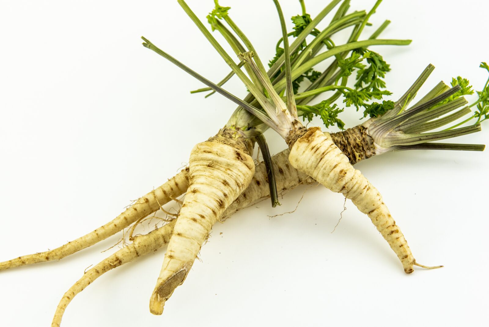 Nikon D750 sample photo. Parsley, root, food photography