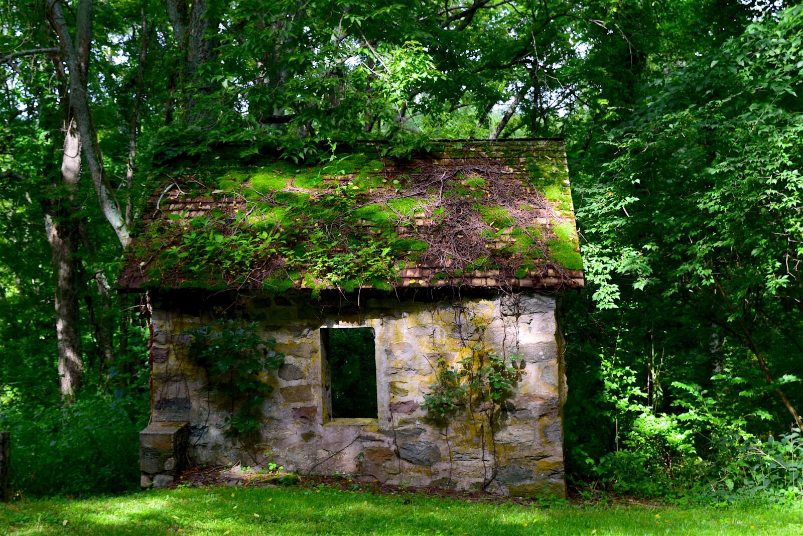 Nikon D3300 sample photo. Old, cottage, stone photography