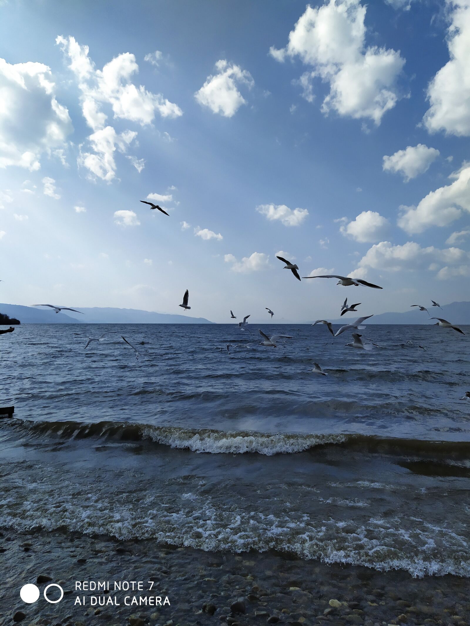 Xiaomi Redmi Note 7 sample photo. The sea, seagull, blue photography