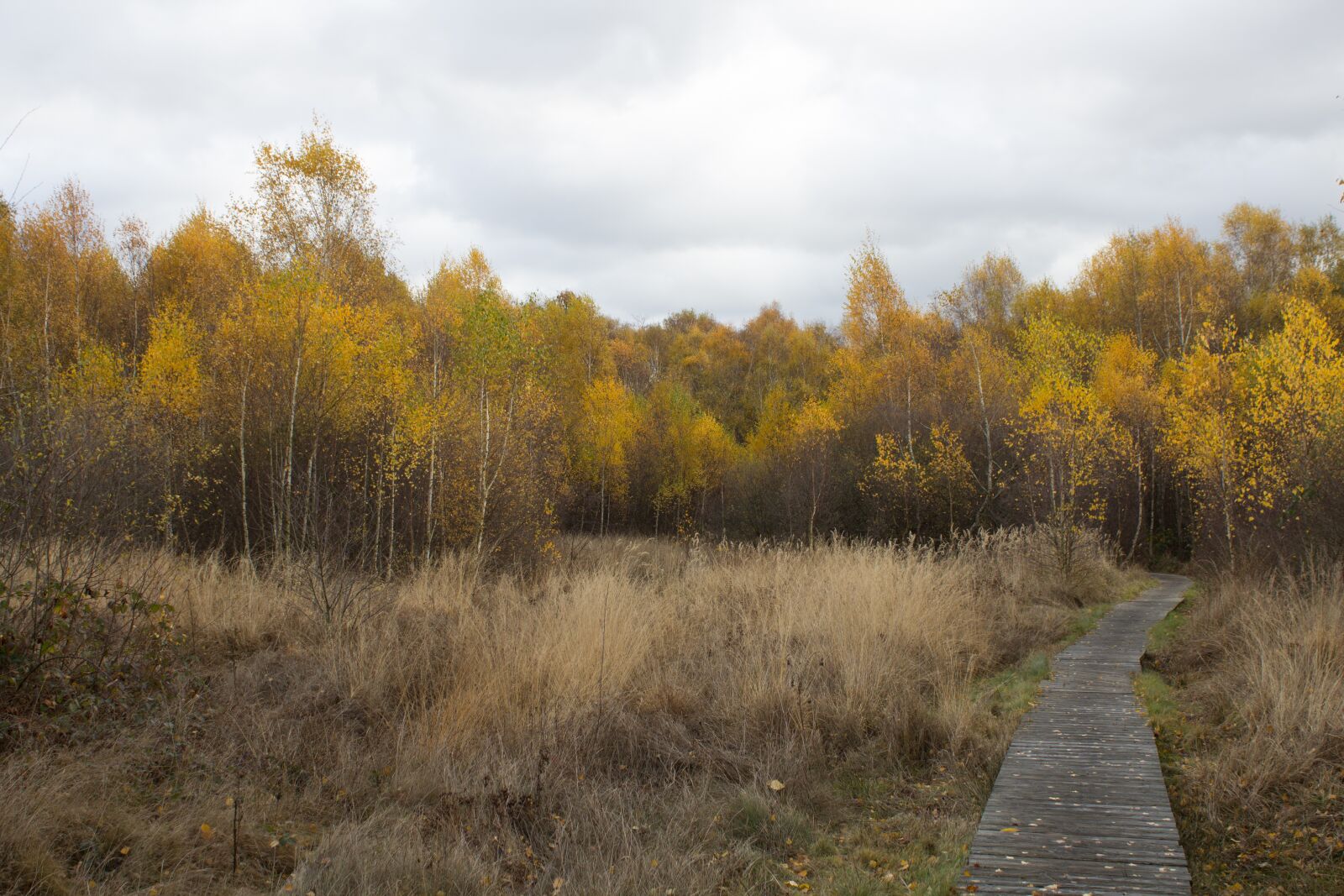 Canon EOS 600D (Rebel EOS T3i / EOS Kiss X5) sample photo. Scotland, hiking, nature photography