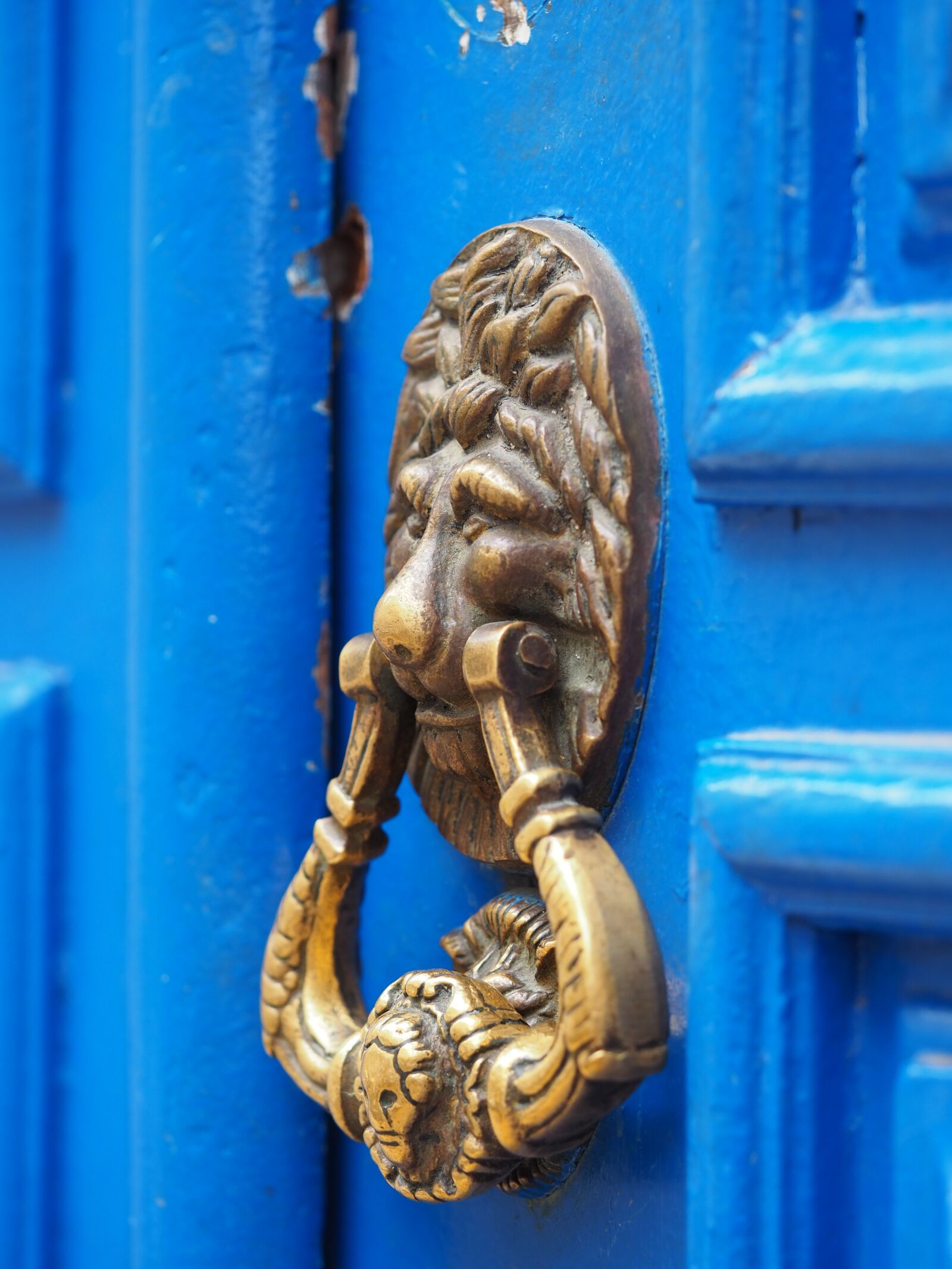 Olympus OM-D E-M10 III sample photo. Door, doorknocker, input photography
