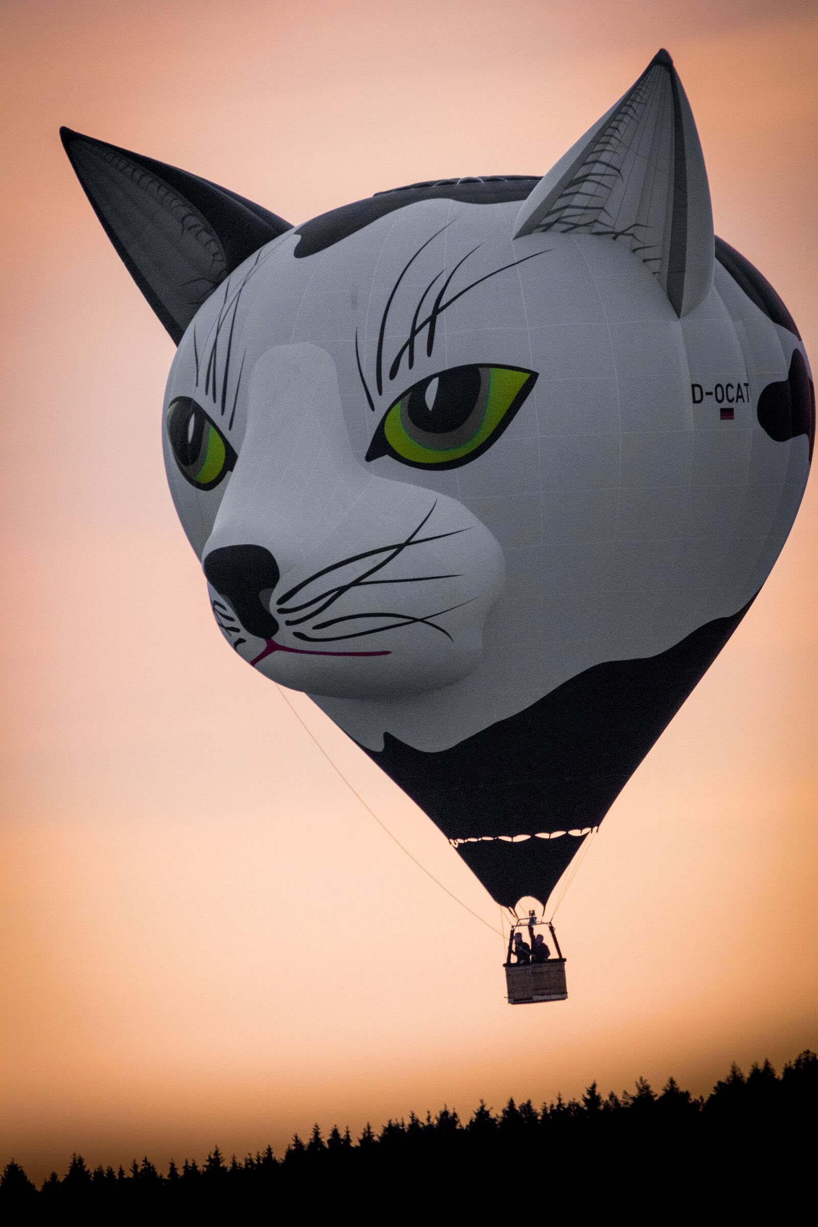 Canon EOS M100 sample photo. Hot air balloon, montgolfiade photography