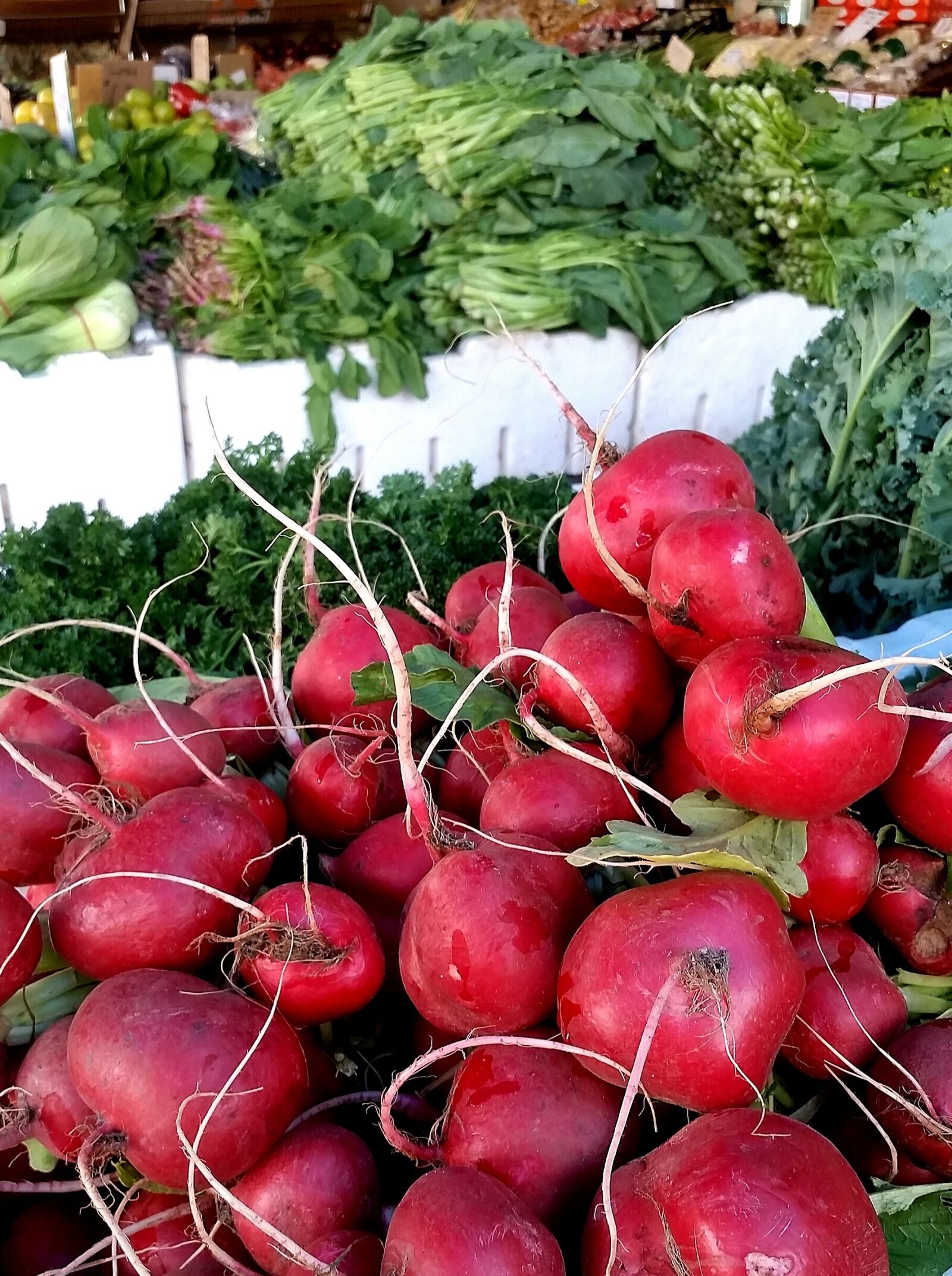 Samsung Galaxy S5 sample photo. Radish, vegetables, market photography