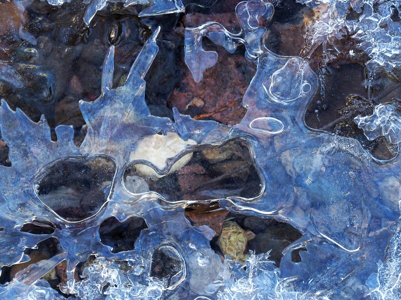 OLYMPUS M.14-150mm F4.0-5.6 II sample photo. Ice, frost, winter magic photography