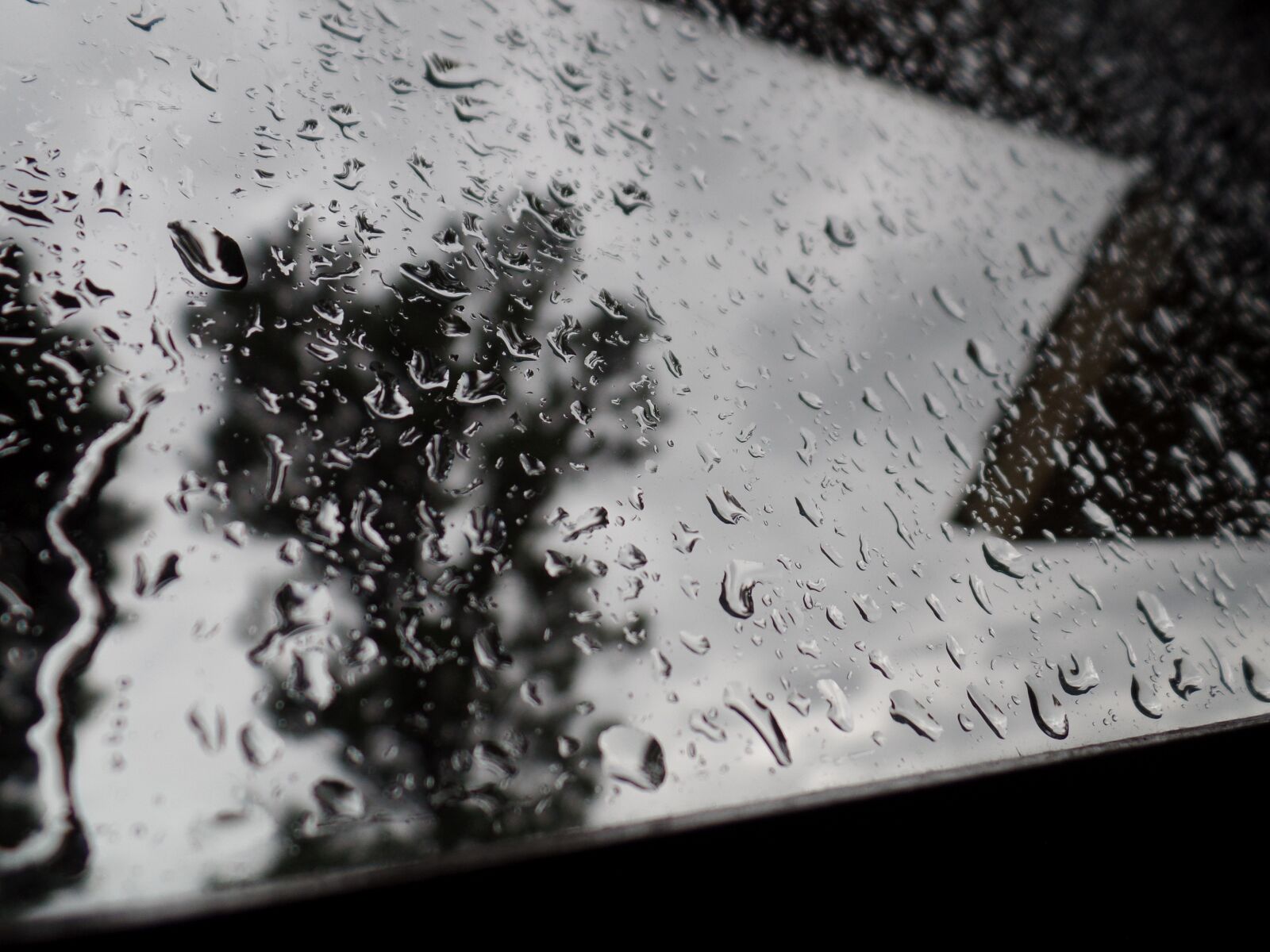 Samsung WB350F/WB351F/WB352F sample photo. Rain, window, details photography