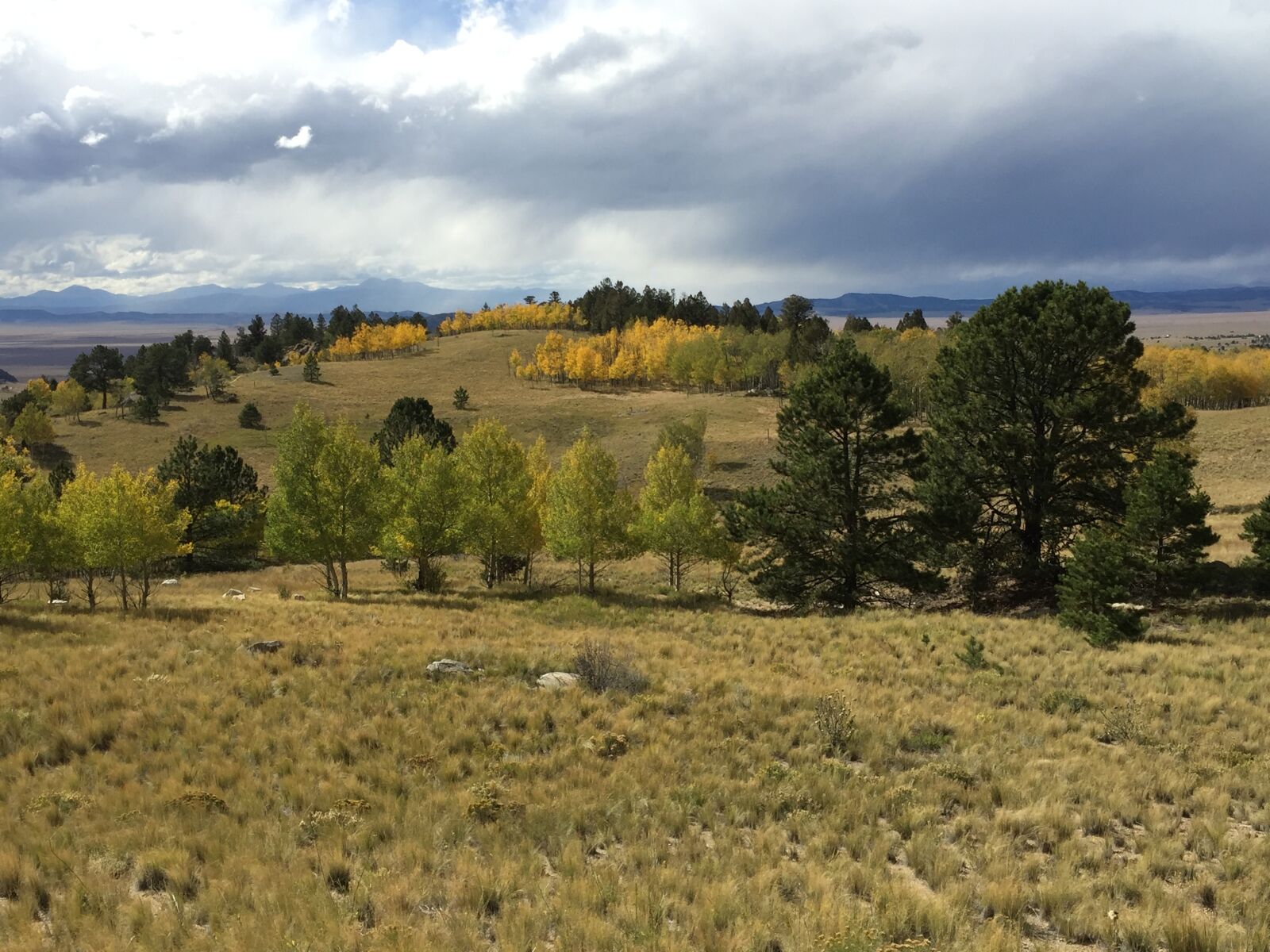 iPhone 6 Plus back camera 4.15mm f/2.2 sample photo. Wilkerson pass, colorado, fall photography
