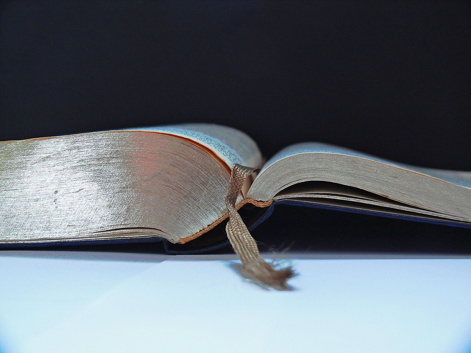 Leica V-LUX 1 sample photo. Bible, holy scripture, eager photography