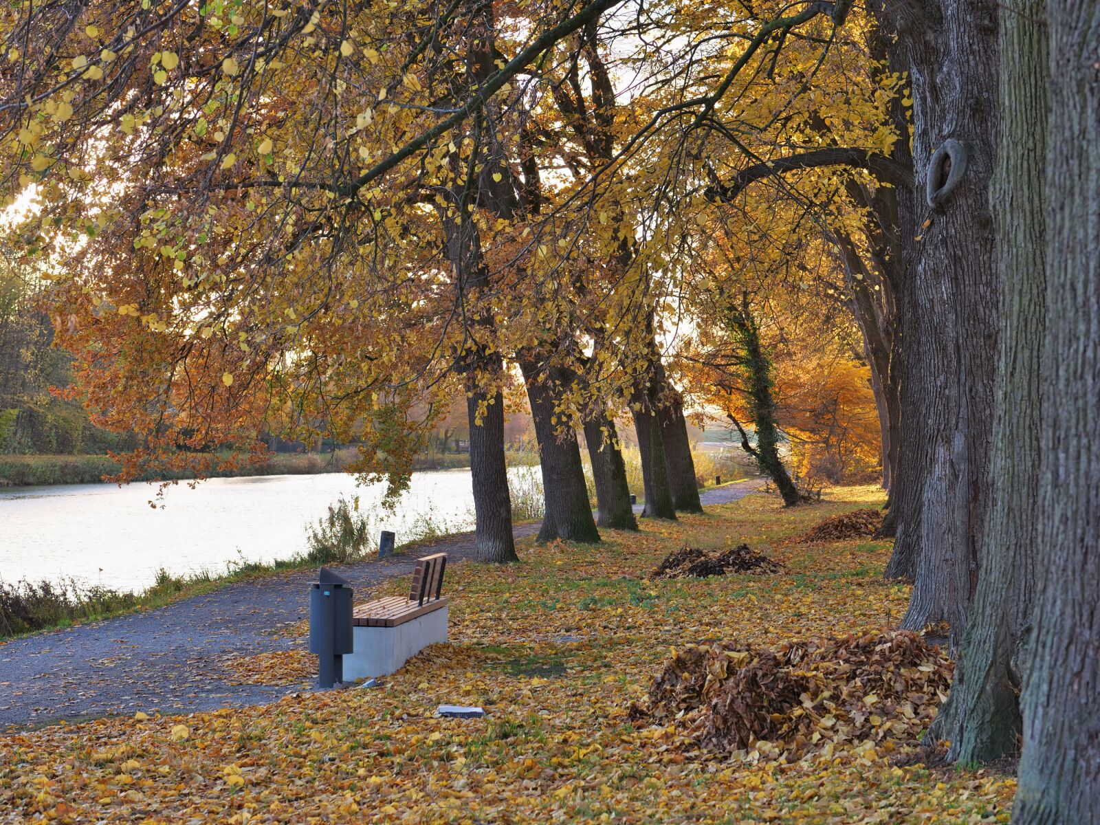 Panasonic Lumix DC-G9 sample photo. Autumn at the canal photography