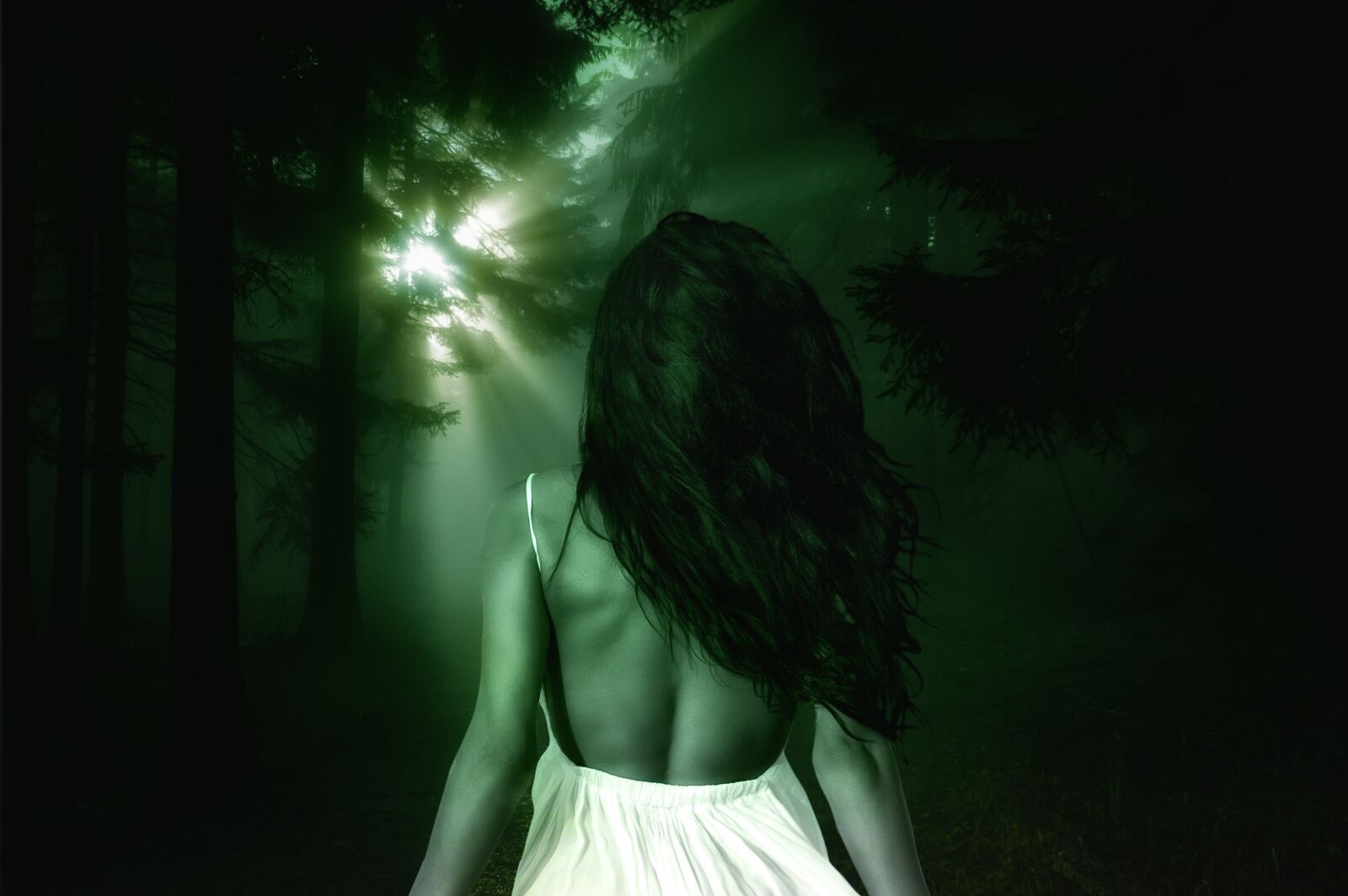Canon EOS 70D sample photo. Forest, mystical, woman photography