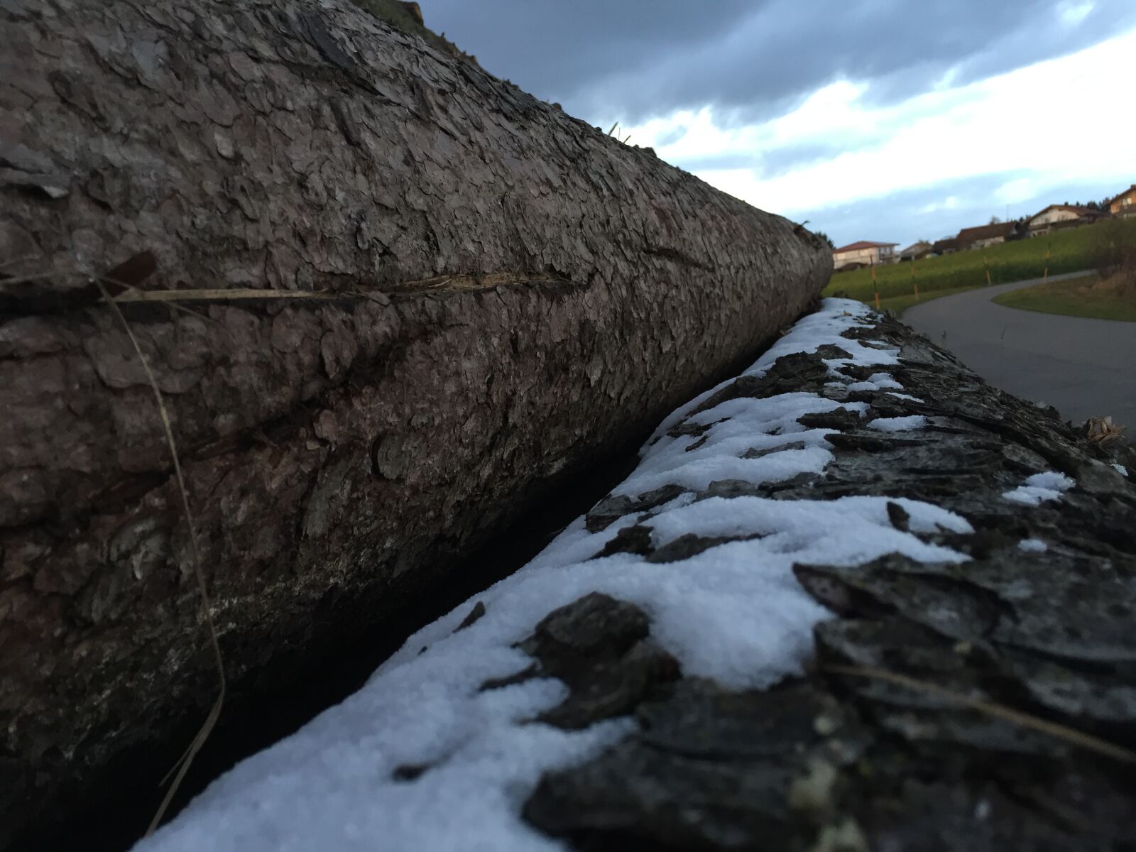Apple iPhone 6 sample photo. Snow, wood photography
